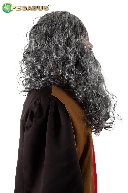 PARRUCCA + BARBA LEONARDO DA VINCI